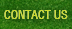 contacy us